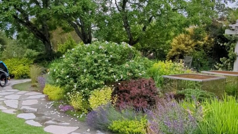 Wilburton Hill Park - Bellevue, WA