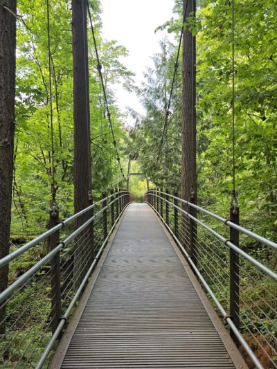 Wilburton Hill Park - Bellevue, WA