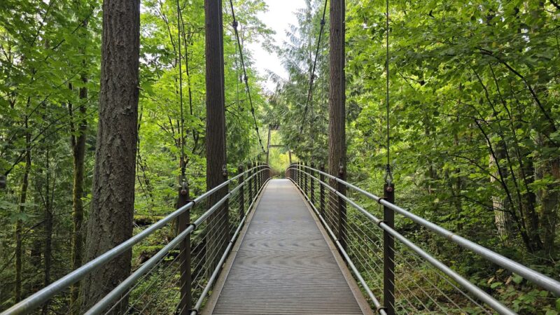 Wilburton Hill Park - Bellevue, WA