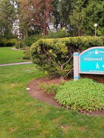 Wildwood Dog Park - Bellevue, WA