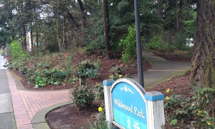 Wildwood Dog Park - Bellevue, WA