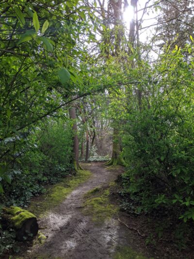 Wildwood Dog Park - Bellevue, WA