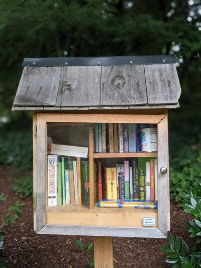 Wildwood Dog Park - Bellevue, WA