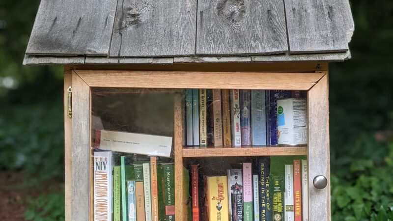 Wildwood Dog Park - Bellevue, WA