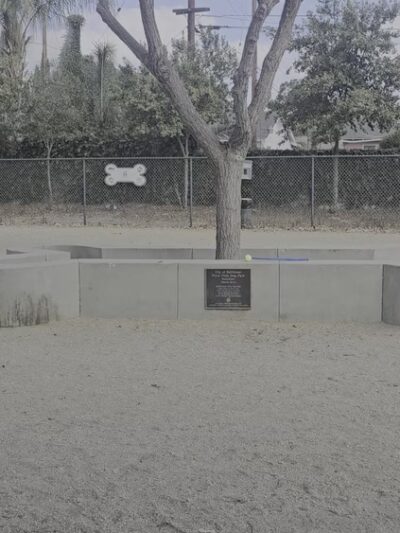 Flora Vista Dog Park - Bellflower, CA