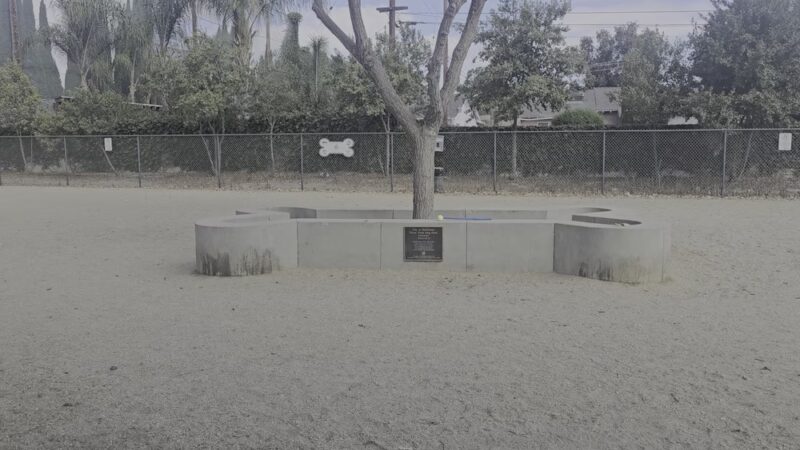 Flora Vista Dog Park - Bellflower, CA