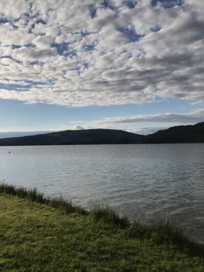Sudden Valley Dog Park - Bellingham, WA