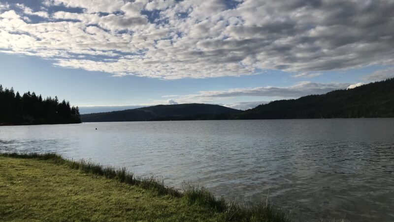 Sudden Valley Dog Park - Bellingham, WA