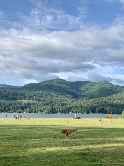 Sudden Valley Dog Park - Bellingham, WA