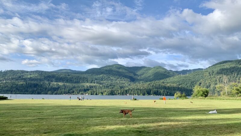 Sudden Valley Dog Park - Bellingham, WA