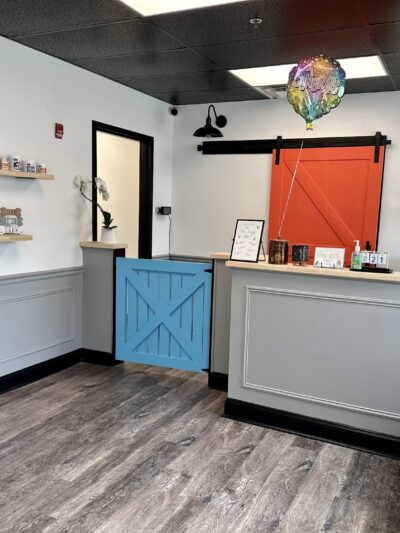 The Doggy Gym - Belmar, NJ