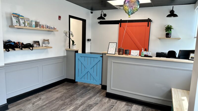 The Doggy Gym - Belmar, NJ
