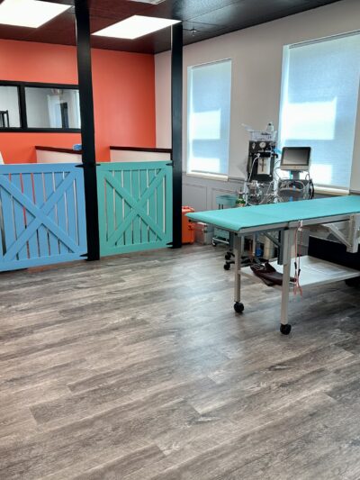 The Doggy Gym - Belmar, NJ
