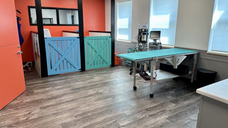 The Doggy Gym - Belmar, NJ