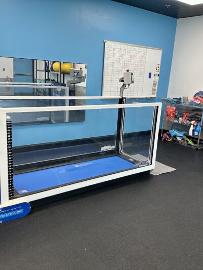 The Doggy Gym - Belmar, NJ