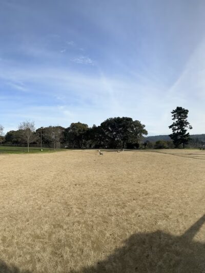 Cipriani Dog Park - Belmont, CA