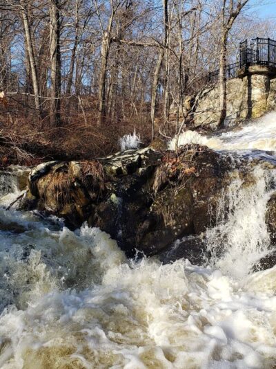 Beaver Brook Reservation - Belmont, MA