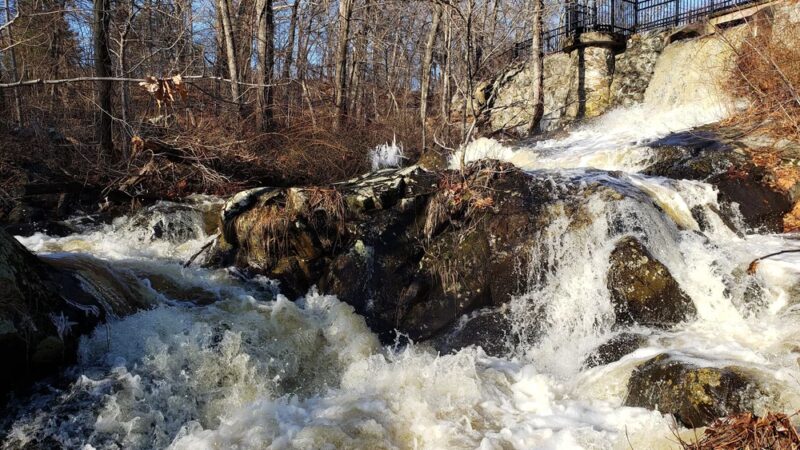 Beaver Brook Reservation - Belmont, MA