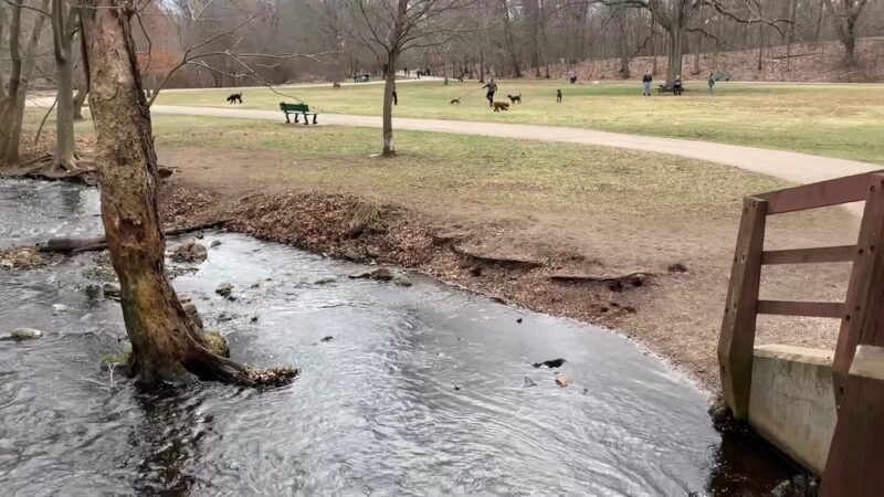 Beaver Brook Reservation - Belmont, MA