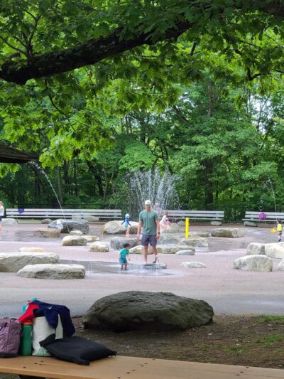 Beaver Brook Reservation - Belmont, MA