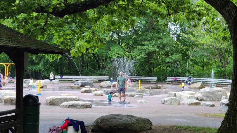 Beaver Brook Reservation - Belmont, MA