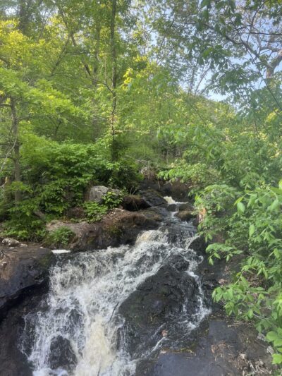 Beaver Brook Reservation - Belmont, MA