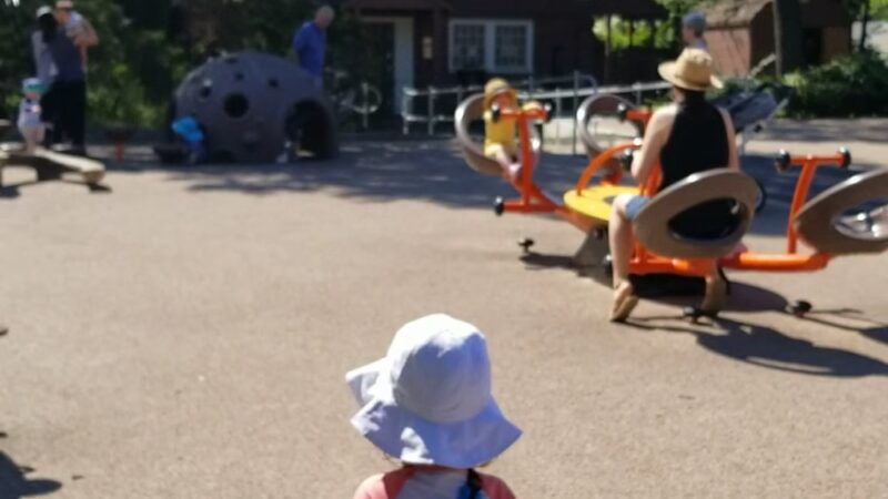 Beaver Brook - Spray Deck & Playground - Belmont, MA