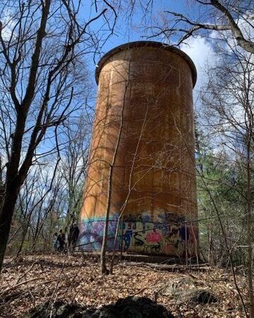 Lone Tree Hill - Belmont, MA