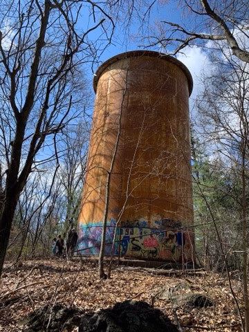 Lone Tree Hill - Belmont, MA