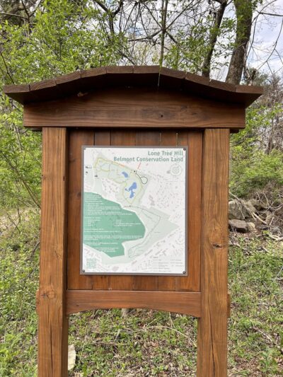 Lone Tree Hill - Belmont, MA