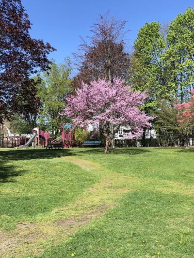 Payson Park Playground - Belmont, MA