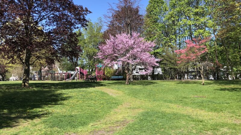 Payson Park Playground - Belmont, MA