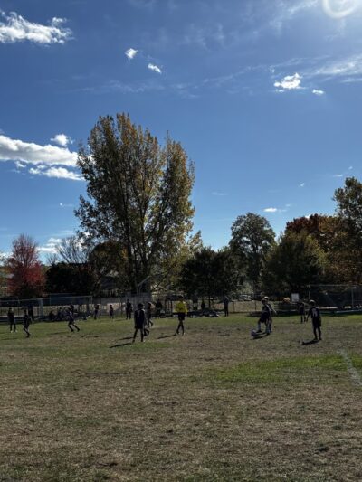 Pequossette Park - Belmont, MA