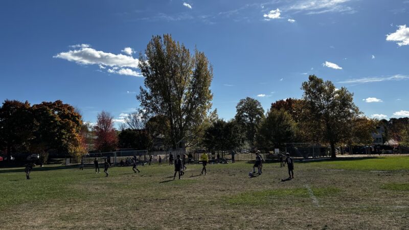 Pequossette Park - Belmont, MA