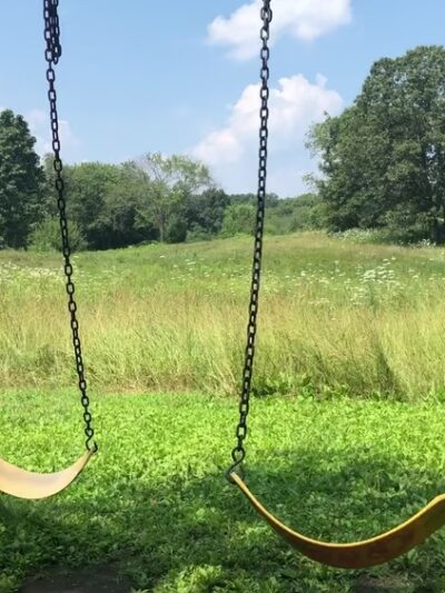 Rock Meadow Conservation Area - Belmont, MA