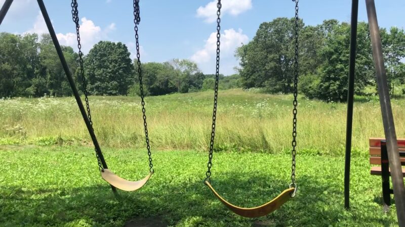 Rock Meadow Conservation Area - Belmont, MA