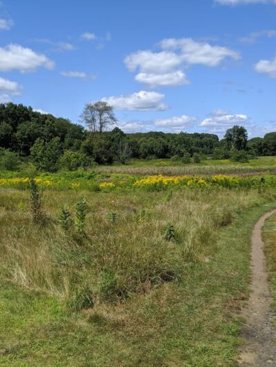 Rock Meadow Conservation Area - Belmont, MA