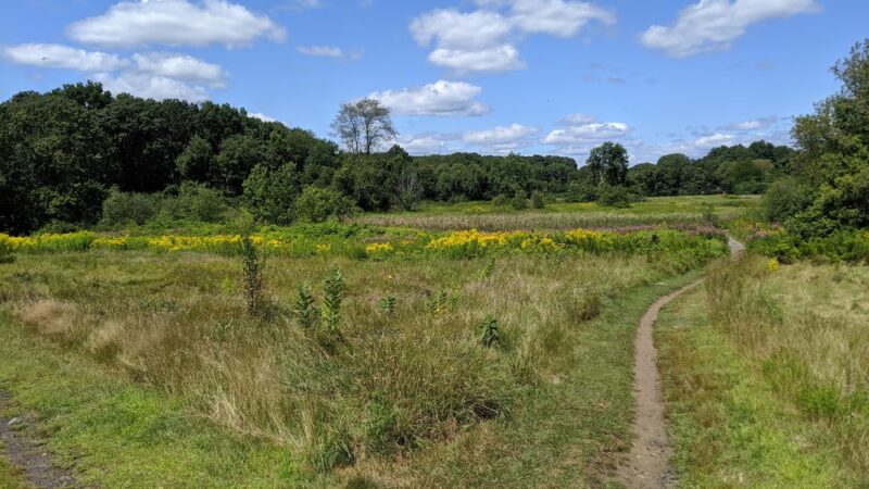 Rock Meadow Conservation Area - Belmont, MA