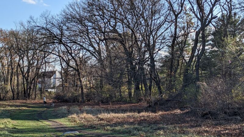 Rock Meadow Conservation Area - Belmont, MA