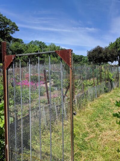 Rock Meadow Conservation Area - Belmont, MA