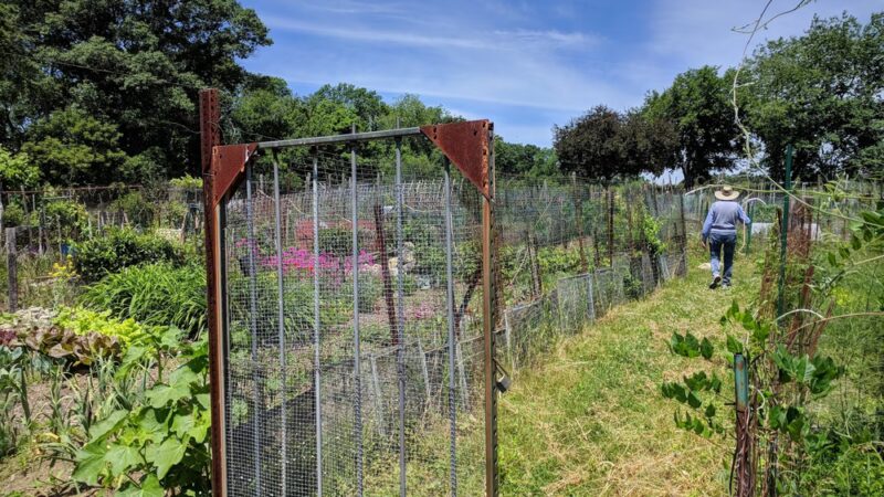 Rock Meadow Conservation Area - Belmont, MA