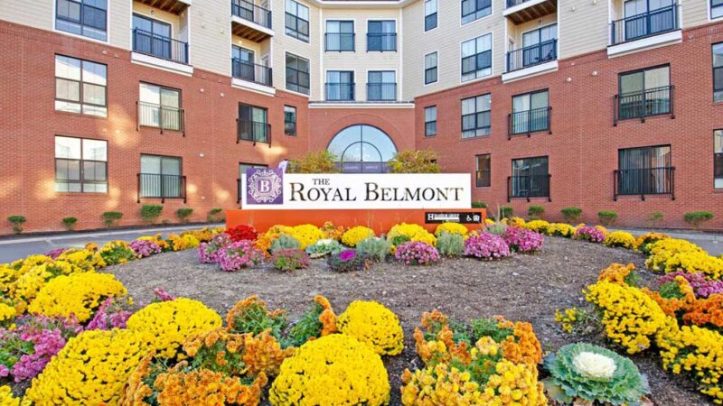The Royal Belmont - Belmont, MA