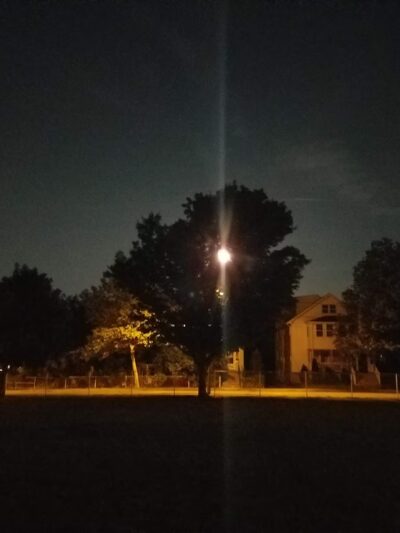 Town Field - Belmont, MA