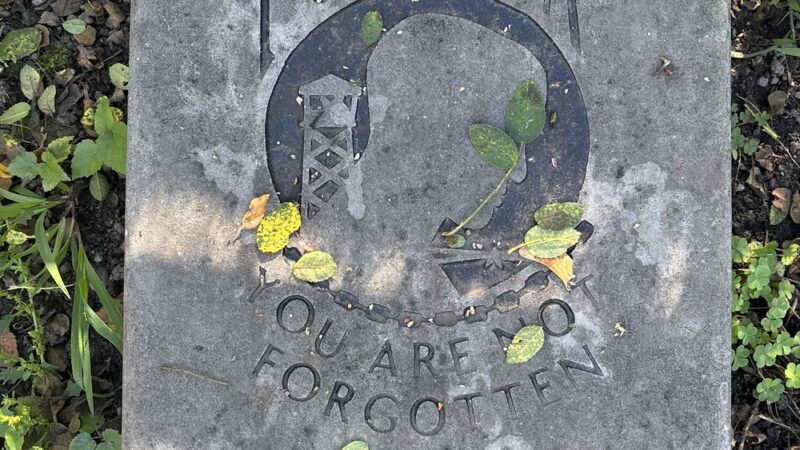 Veterans Memorial Park - Belmont, MA