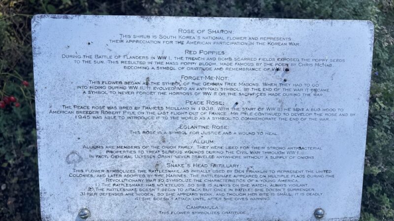 Veterans Memorial Park - Belmont, MA