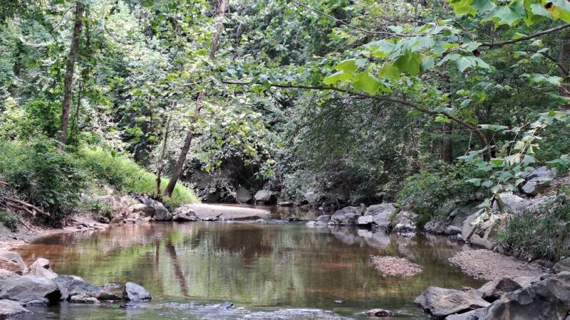 Beltsville Neighborhood Park - Beltsville, MD