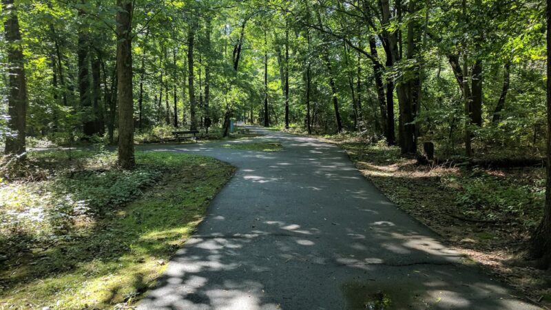 Little Paint Branch Park - Beltsville, MD