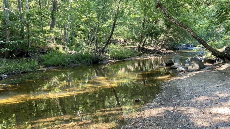 Little Paint Branch Park - Beltsville, MD