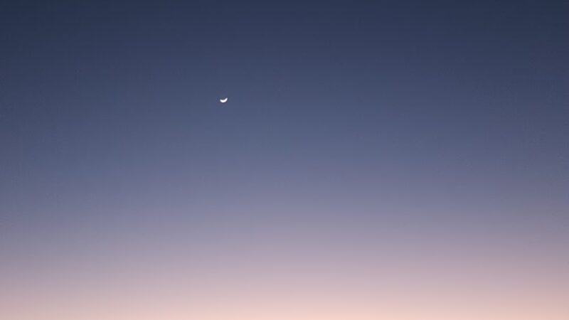 Duval County Park - Benavides, TX