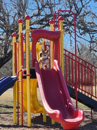 Duval County Park - Benavides, TX